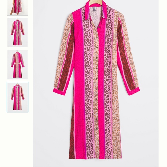 Renela Leopard Animal Cat Striped Boho Peasant Hipster Hippie Art Farm Hip Dress - Picture 4 of 4